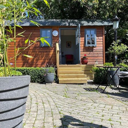 Lilac Hut Shepherds Hut 基尔根尼 外观 照片