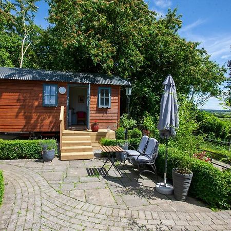 Lilac Hut Shepherds Hut 基尔根尼 外观 照片