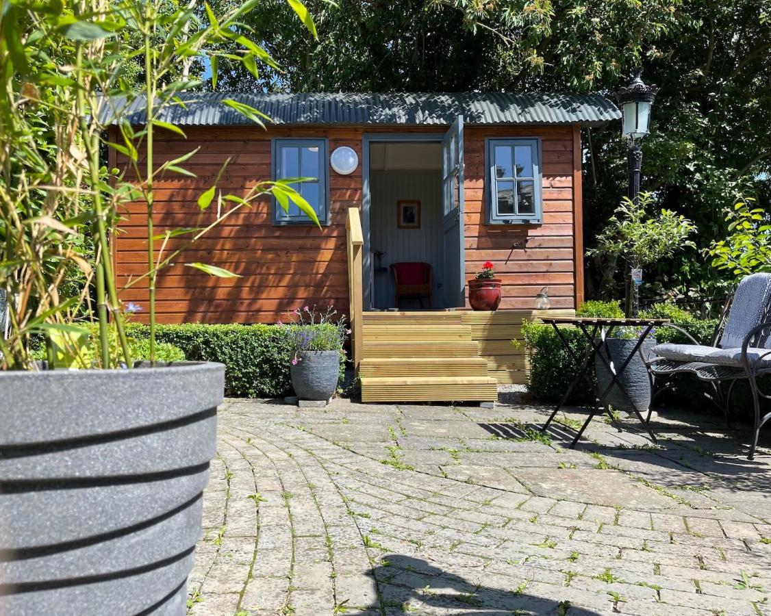 Lilac Hut Shepherds Hut 基尔根尼 外观 照片